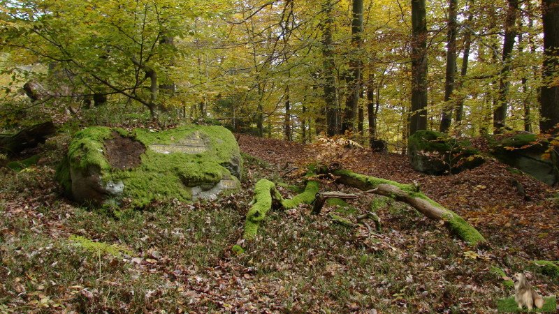 Ritterstein Nr. 080-4 Preussenstein.JPG - Ritterstein Nr.80  Preussenstein